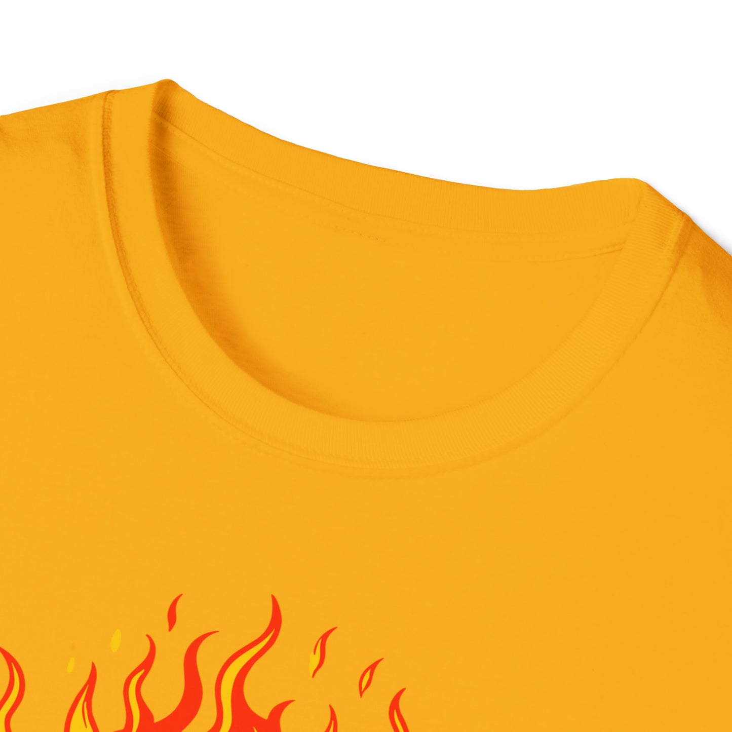 Cheers from the Dumpster Fire Unisex Softstyle T-Shirt